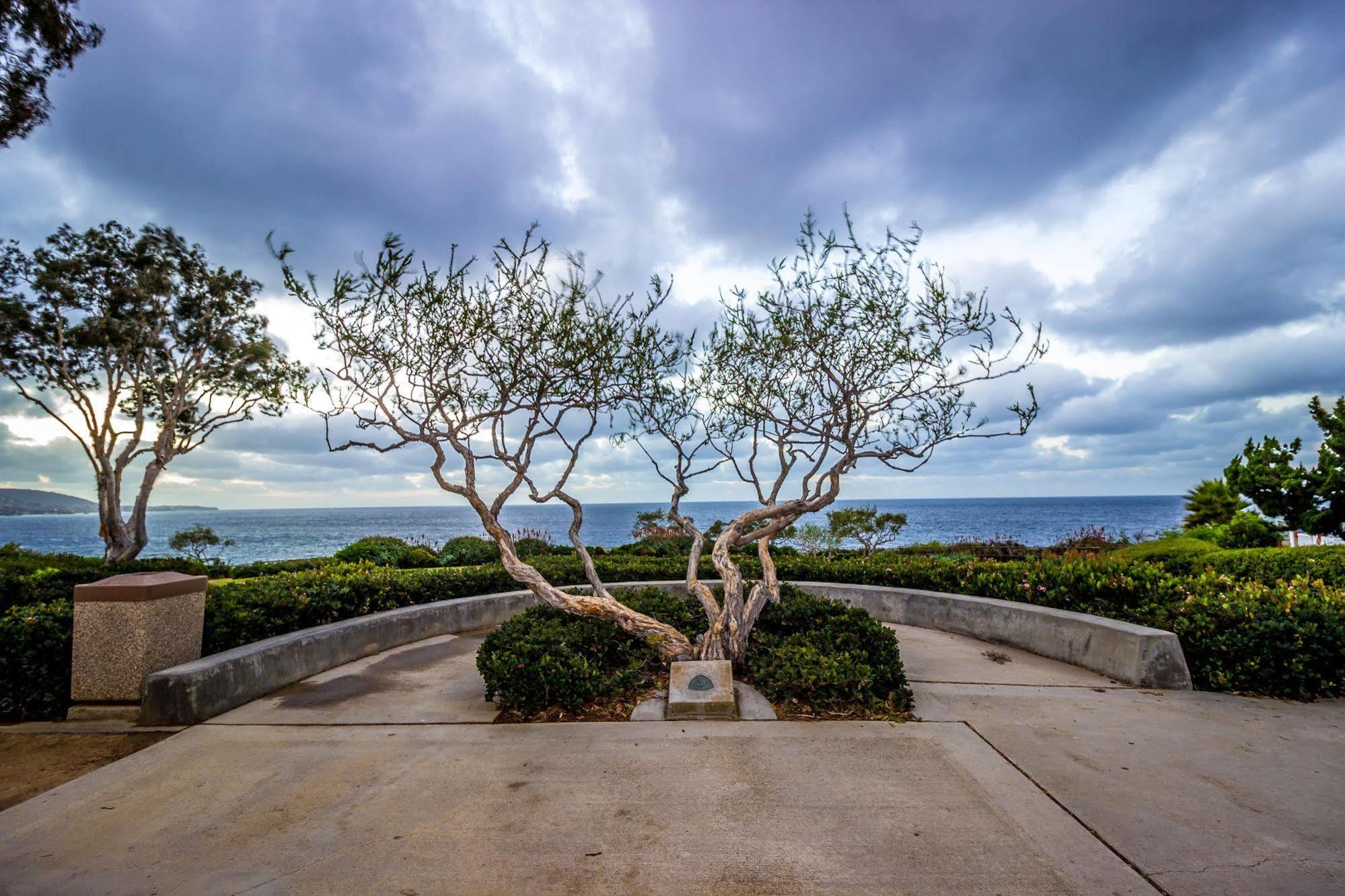 Art Hotel Laguna Beach Exterior foto